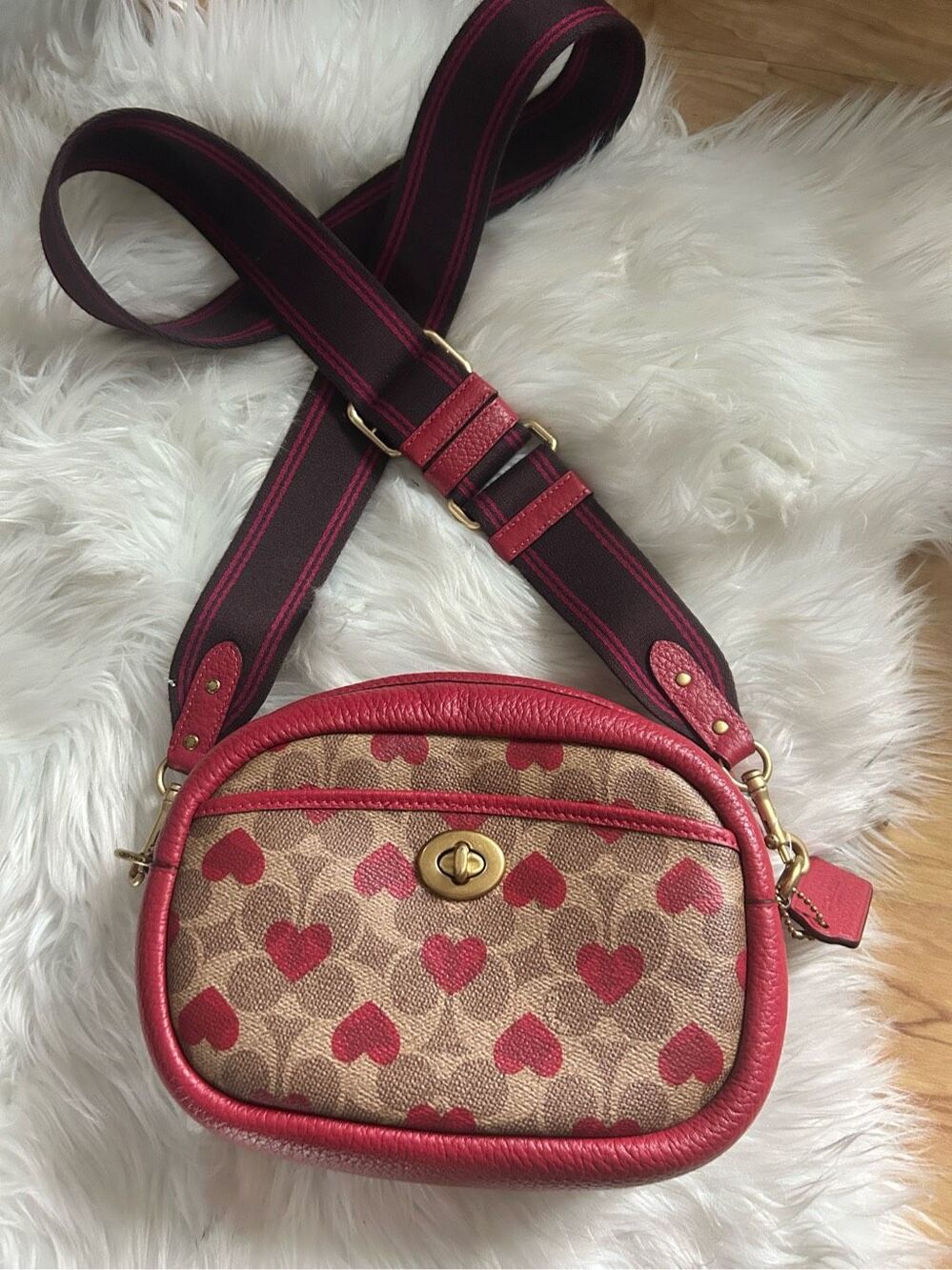 Coach Camera Bag Signature Canvas Heart Print Crossbody C8390